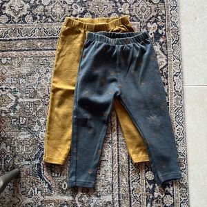 Baby Boy Zara Leggings